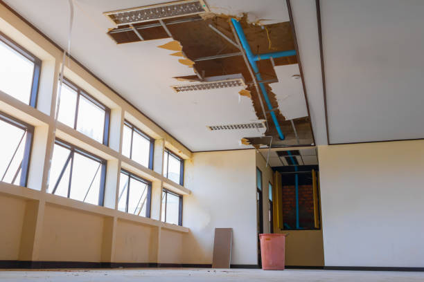 Best Water damage cleanup near me  in Spotsylnia Courthouse, VA