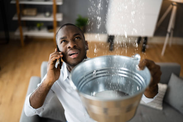 Best Water damage restoration mold remediation  in Spotsylnia Courthouse, VA