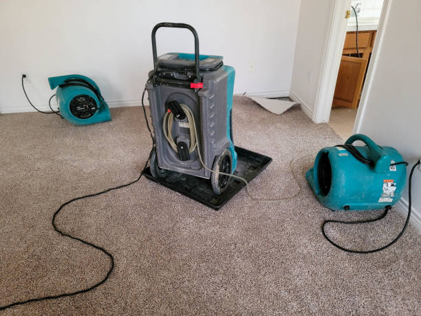 Best Mold removal after water damage  in Spotsylnia Courthouse, VA