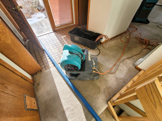 Best Carpet water damage restoration  in Spotsylnia Courthouse, VA