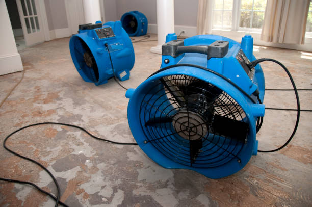 Best Carpet water damage restoration  in Spotsylnia Courthouse, VA