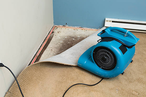 Best Flood damage cleanup  in Spotsylnia Courthouse, VA